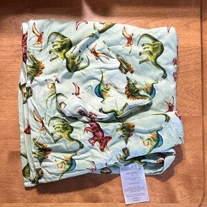 Posh Peanut Dinosaur Print Kids Matching Set - Green and Multicolor